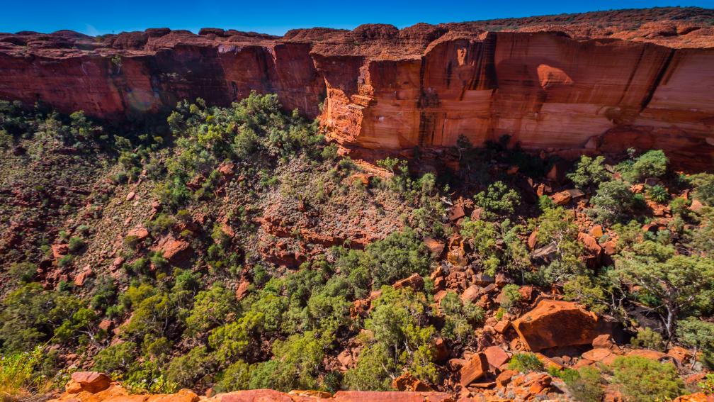 Australia outback landscape with blue sky. iStock.com/structuresxx