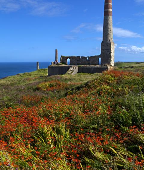 Remains of the old Engine house chimneys at Levant Tin Mine - located very close to Geevor Tin Mine in Cornwall, England. Photo chrisdorney